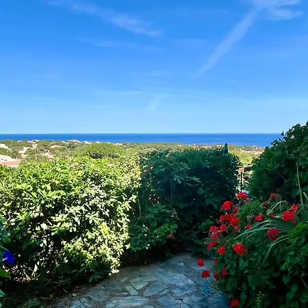 Joli Studio Vue Mer Avec Terrasse Et Jardinet A Sant Ambroggio Lumio  Exterior foto